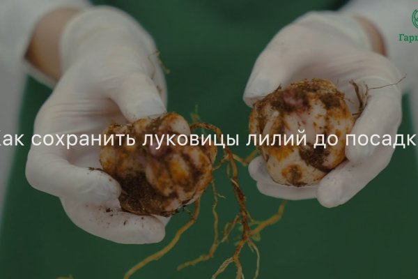 Кракен наркомаркетплейс