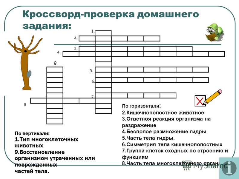 Ссылки для даркнета